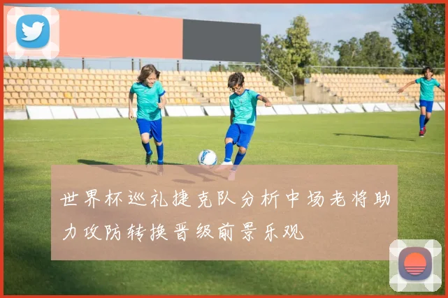 世界杯巡礼捷克队分析中场老将助力攻防转换晋级前景乐观